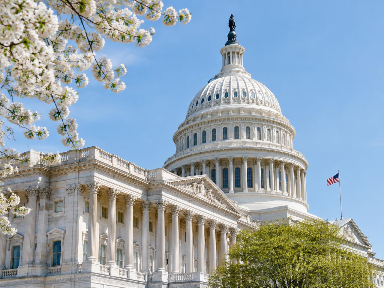United States Capitol architecture